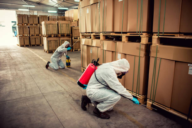 Best Wasp Removal Services  in Puxico, MO