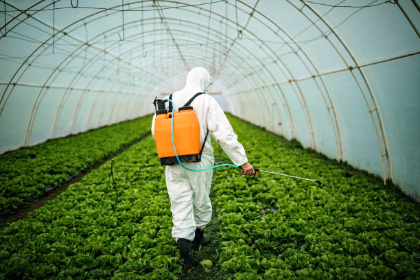 Best Local Pest Control Services  in Puxico, MO