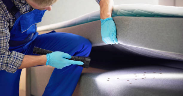 Best Best Pest Control Companies  in Puxico, MO