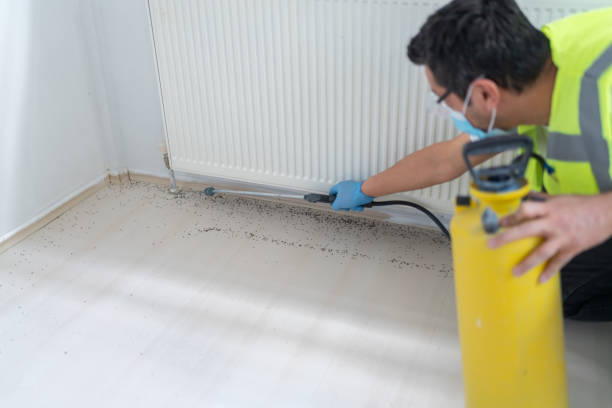 Reliable Puxico, MO Pest Control Solutions