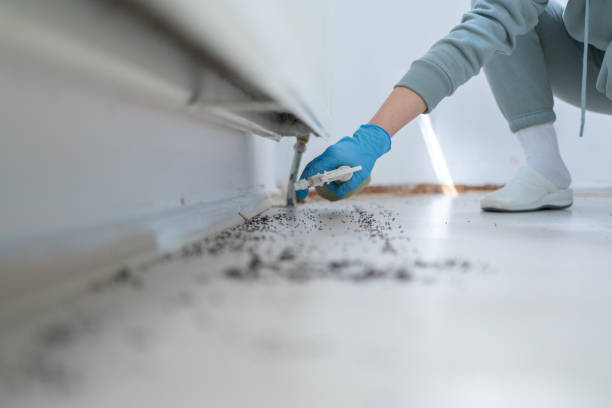 Best Affordable Pest Control Services  in Puxico, MO